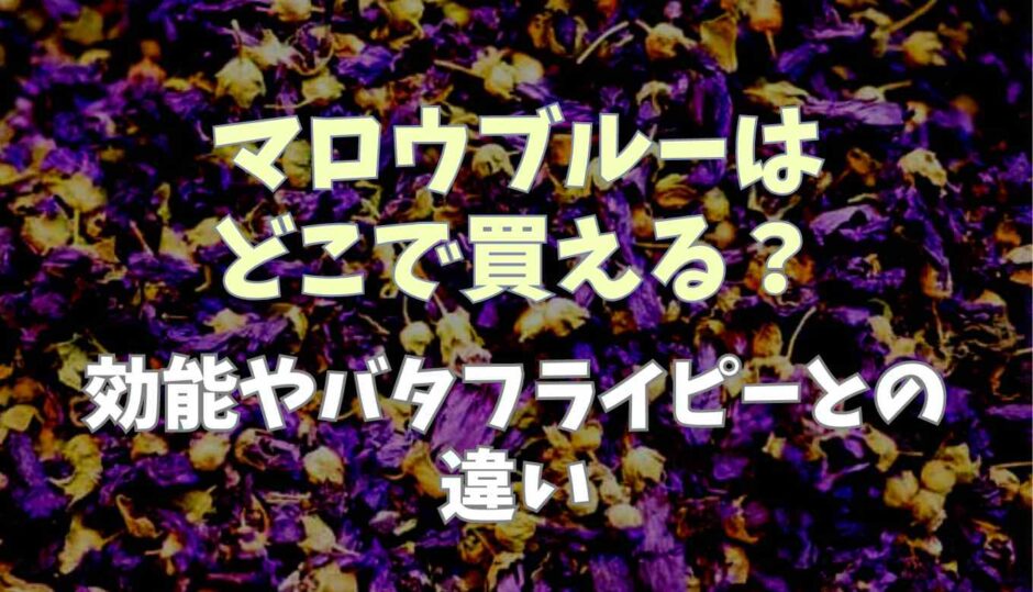 マロウブルーはどこで買える？