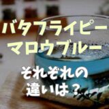 バタフライピーとマロウブルーの違いは？おすすめのレシピも紹介