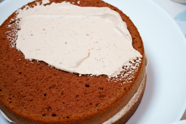 チョコスポンジ