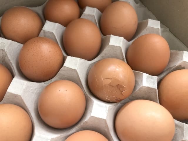 割れた卵